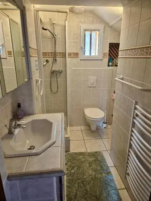 a bathroom with a sink and a shower and a toilet at Mas Côté Cour in Maubec
