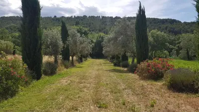 a dirt road with trees and flowers in a field at Moulin de Bonfilhon in Cornillon-Confoux