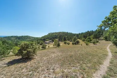 a dirt road in a field with trees at Mas des Genêts in Manosque