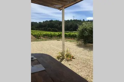 a patio with a table and a view of a vineyard at Cabanon de charme en plein coeur des vignes in Pertuis