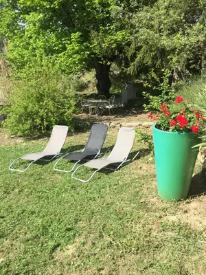 two chairs and a pot of flowers in a yard at Cabanon de charme en plein coeur des vignes in Pertuis
