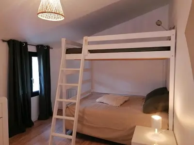 a bedroom with a bunk bed with a ladder at La Velleronnaise in Velleron