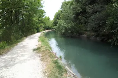 a river with trees on the side of it at La Velleronnaise in Velleron