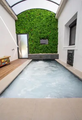 a pool of water in a room with a green wall at VILLA PALMA & SPA in LʼIsle-sur-la-Sorgue