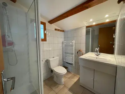 a bathroom with a toilet and a sink and a shower at Studio Idéal pour des moments d'exceptions in Cabrières-dʼAvignon