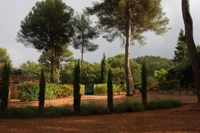 a row of trees and bushes in a park at Logis au milieu des pins in Le Puy-Sainte-Réparade