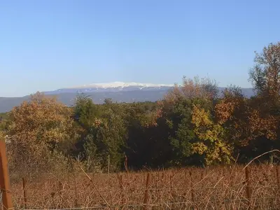 a field with trees and a mountain in the background at La Carriole dans le jardin in Ménerbes