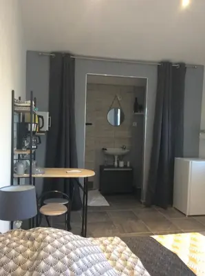 a room with a bed and a table and a bathroom at Ogooué Studio in Carpentras
