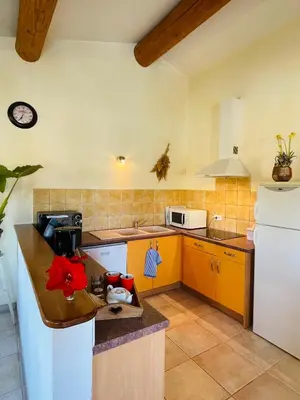 a kitchen with a counter and a white refrigerator at Gîte Les Vignes in Carpentras