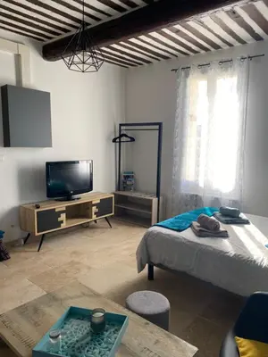 a living room with a bed and a flat screen tv at Studio de charme le Clos de l'Etang + place de parking in LʼIsle-sur-la-Sorgue