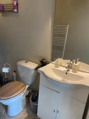 a bathroom with a toilet and a sink at Studio de charme le Clos de l'Etang + place de parking in LʼIsle-sur-la-Sorgue
