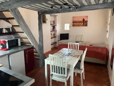 a kitchen and a living room with a table and chairs at Studio cosy dans le centre-ville historique in LʼIsle-sur-la-Sorgue