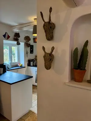 a kitchen with a counter and a cactus on the wall at VILLA BEL - Entre paradis et vignes in Ménerbes