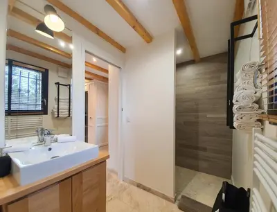a bathroom with a sink and a shower at Le Vallon des Pins in La Cride