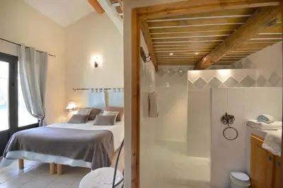 a bedroom with a bed and a walk in shower at Chambres d'hôtes Le Vignoble in Cucuron