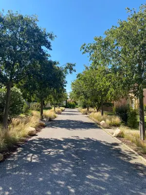 an empty road with trees on either side of it at Les Demeures du Ventoux in Aubignan