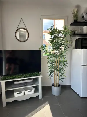 a living room with a tv and a potted plant at Les Demeures du Ventoux in Aubignan