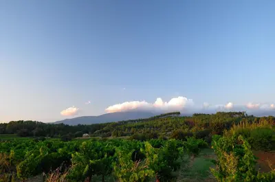 a view of a farm with trees and clouds in the sky at Le petit Bacalan in Mormoiron