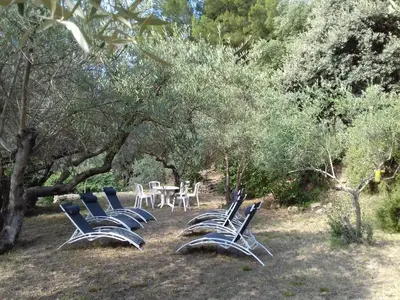 a group of chairs and tables in the woods at Gîte du domaine de l'Arbre de Vie in Saint-Chamas