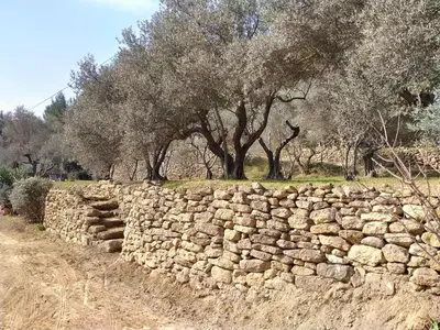 a stone wall next to a field with trees at Gîte du domaine de l'Arbre de Vie in Saint-Chamas