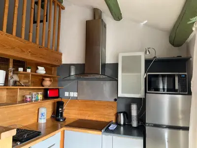 a kitchen with a refrigerator and a microwave at Duplex lumineux sur gde TERRASSE, BALNEO double, parking privé, CLIM, local vélos in Entraigues-sur-la-Sorgue