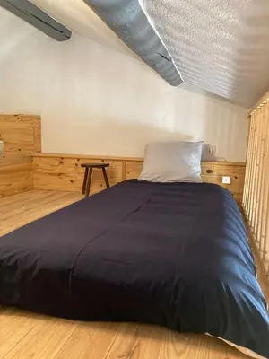 a bedroom with a large bed with a blue blanket at Grande terrasse CLIM parking privé SMART TV, local velos in Entraigues-sur-la-Sorgue