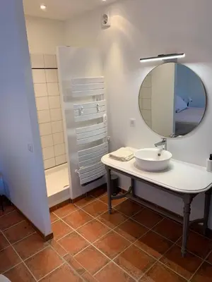 a bathroom with a sink and a mirror at Mas de la Pivoine in Le Puy-Sainte-Réparade