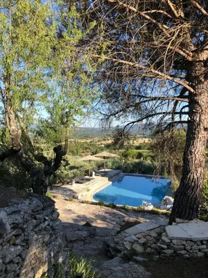 a swimming pool in a garden with a tree at Les Milles Roches in Gordes