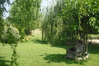 a wood stove in the grass under a tree at Lou mas li Pitchoun 