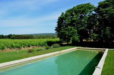 a swimming pool in a yard next to a field at Le Mas Perréal in Saint-Saturnin-les-Apt