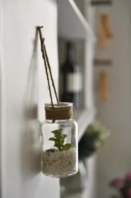a small plant in a glass jar on a wall at La Maison de Lourmarin in Lourmarin