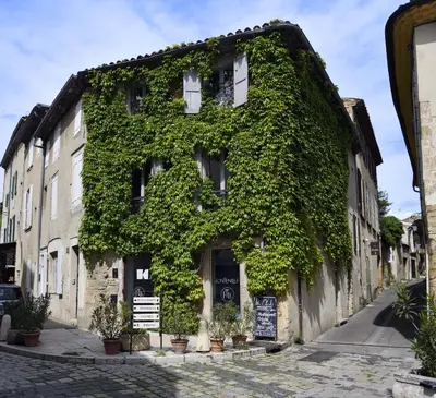 a building covered in ivy on a street at La Maison de Lourmarin in Lourmarin