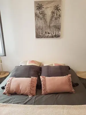 a bed with two pink pillows on top of it at vintage home in LʼIsle-sur-la-Sorgue