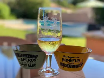 a glass of wine sitting next to a bucket at Villa et maisonnette provençales in Carpentras