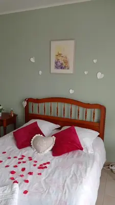 a bed with red rose petals on it at Les Cigales in Villelaure