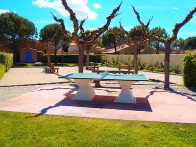 a ping pong table in a park with trees at Le Jardin des Alpilles in Eyguières