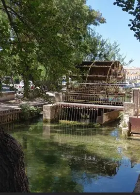a bridge over a river in a park at Appartement et Garage au Cœur de l'Isle in LʼIsle-sur-la-Sorgue