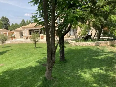 a tree in a yard with a house at Mas Galinette in Saint-Andiol