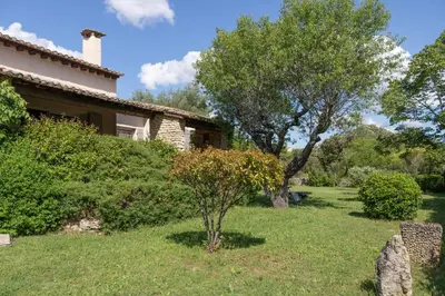 a yard with a house and a tree at VILLA PROVENCALE FACE AU LUBERON in Cabrières-dʼAvignon