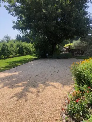 a gravel driveway with a large tree in the background at L’ escapade in Mallemort