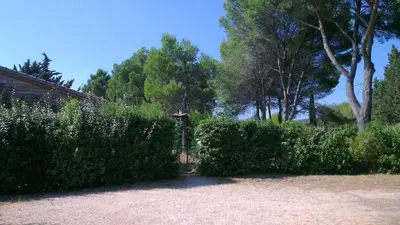 a hedge in front of a house with trees at Maison charmante à Aix-en-Provence avec piscine privée in Aix-en-Provence