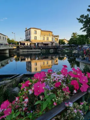 a group of flowers in a river with buildings at L'Isle Ô Jardin in LʼIsle-sur-la-Sorgue