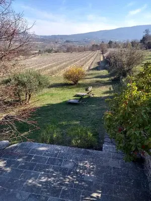 a view of a field with a bench in the grass at Le Tilleul in Lacoste