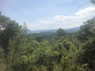 a view of a forest with mountains in the distance at les lauriers de Joelle in Peyrolles-en-Provence
