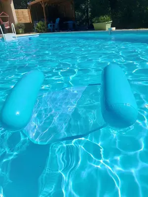 a swimming pool with a pair of inflatable swimming pool chairs in the water at Maison d'Hôtes & Spa La Chêneraie-Provence Ventoux in Saint-Didier