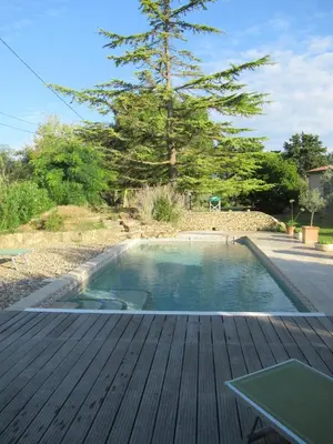 a pool of water on a wooden deck at LA MASTRONA in Saumane-de-Vaucluse