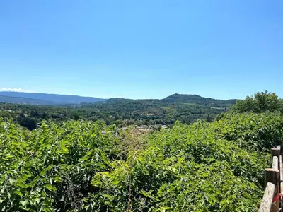 a view of a bunch of orange trees at A l’ombre du géant de Provence in Mormoiron