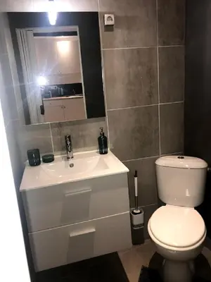 a bathroom with a toilet and a sink and a mirror at A l’ombre du géant de Provence in Mormoiron