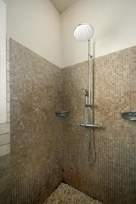 a shower in a bathroom with a tiled wall at La Petite Maison - Mas des Sous Bois in Ventabren