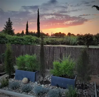 a garden with potted plants in front of a fence at La Maison du Chemin des Prairies in Morières-lès-Avignon